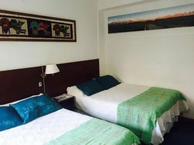 Hostales Hostal Andino