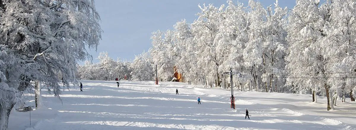 Cabañas 3 estrellas Huella Blanca