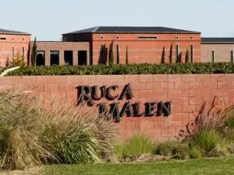 Ruca Malen Restaurants in Wineries  in  Luján de Cuyo