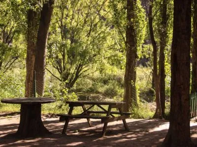 El Sauce Campings  en  San Rafael