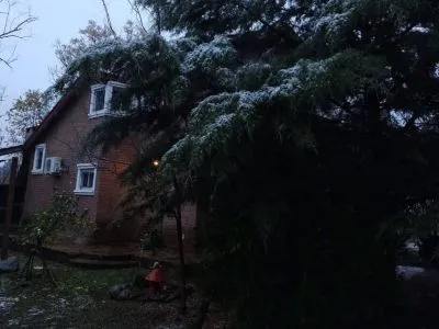 El Dorado Cabañas  en  Carpintería