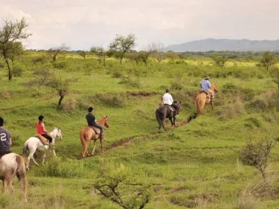 Turismo San Lorenzo Travel and Tourist Agency  in  Salta