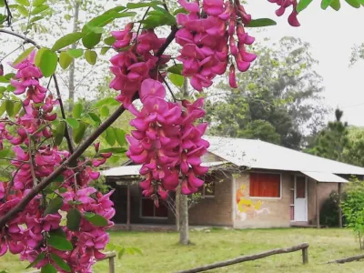 Tourist Resorts Complejo La Argentina