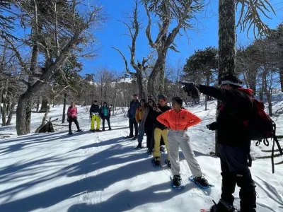 Agencias de viajes y turismo Impodi Viajes y Turismo