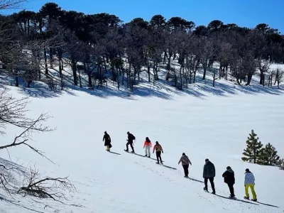 Agencias de viajes y turismo Impodi Viajes y Turismo