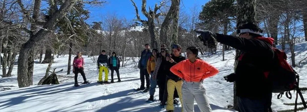 Agencias de viajes y turismo Impodi Viajes y Turismo