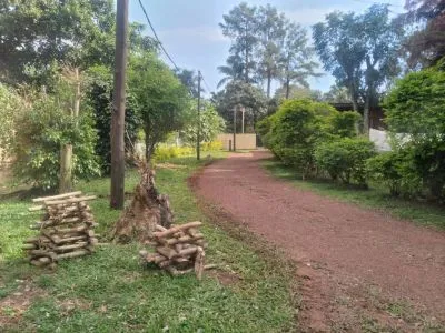 Cabañas Cabañas del Bosque