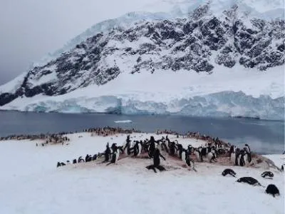 Tierra del Fuego Aventura Operadores de Servicios Turísticos  en  Antártida