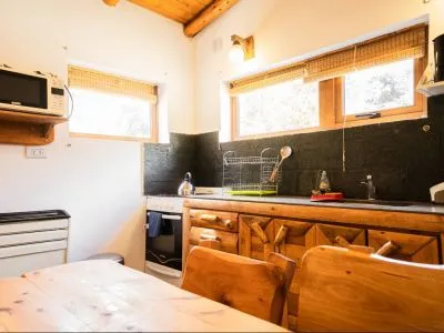 Cabañas 2 estrellas Sueño de Pehuenia Cabañas