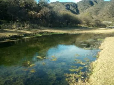 Omar Intile Inmobiliarias  en  Merlo San Luis