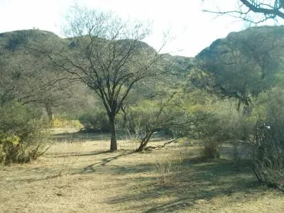 Inmobiliarias Omar Intile