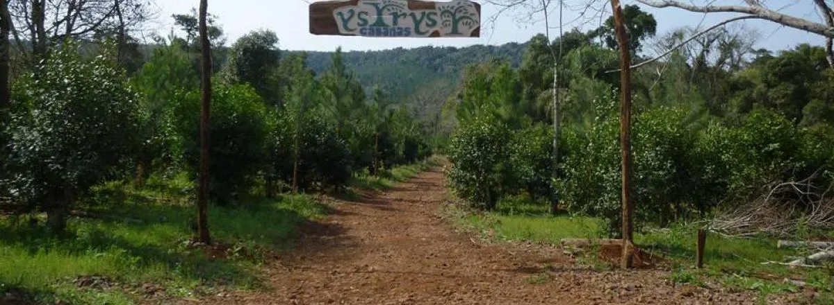 Cabañas YSYRYS Saltos de Moconá