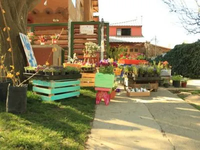 Cabañas La Cristela