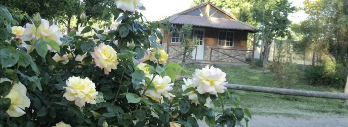 Apartments Puerta Oeste