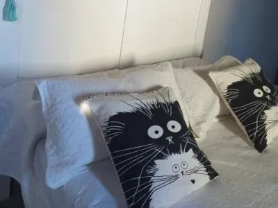 Albergues/Hostels Avetaia