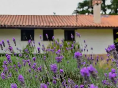 Hostelries La Domanda