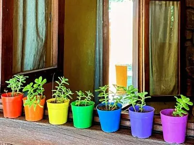 Cabins Complejo Cielo y Tierra