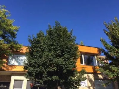 Alquiler temporario Camino al Sur