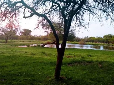 Albergues/Hostels Tranqueras de colon