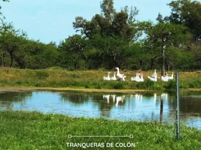 Albergues/Hostels Tranqueras de colon