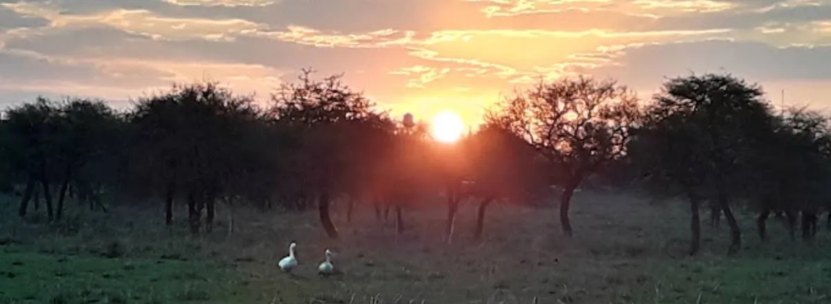Albergues/Hostels Tranqueras de colon