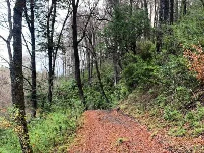 Cabalgatas Big Bang Viajes