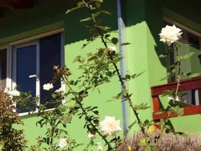 Cabañas Terrazas De Cruz Chica