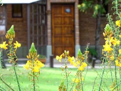 Cabins Agua Que Brilla