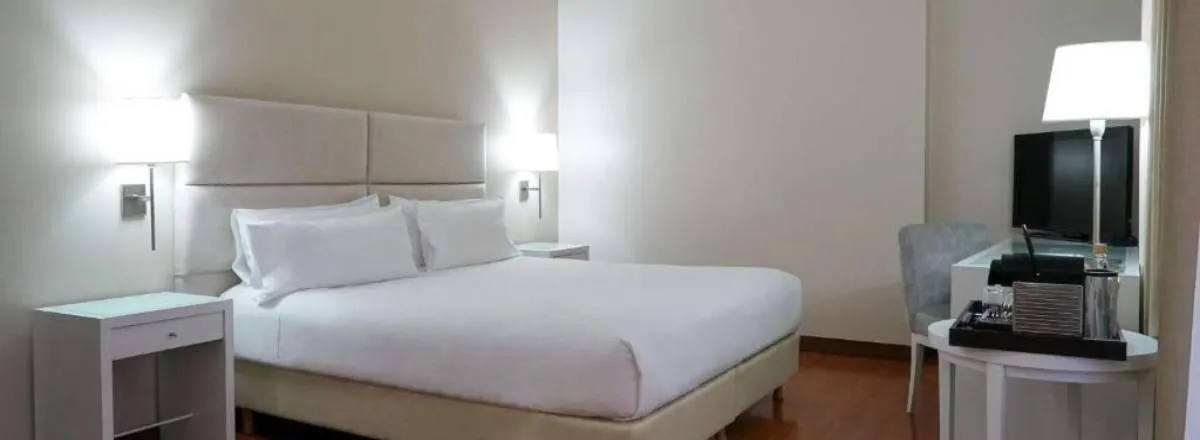 Hoteles NH Mendoza Cordillera