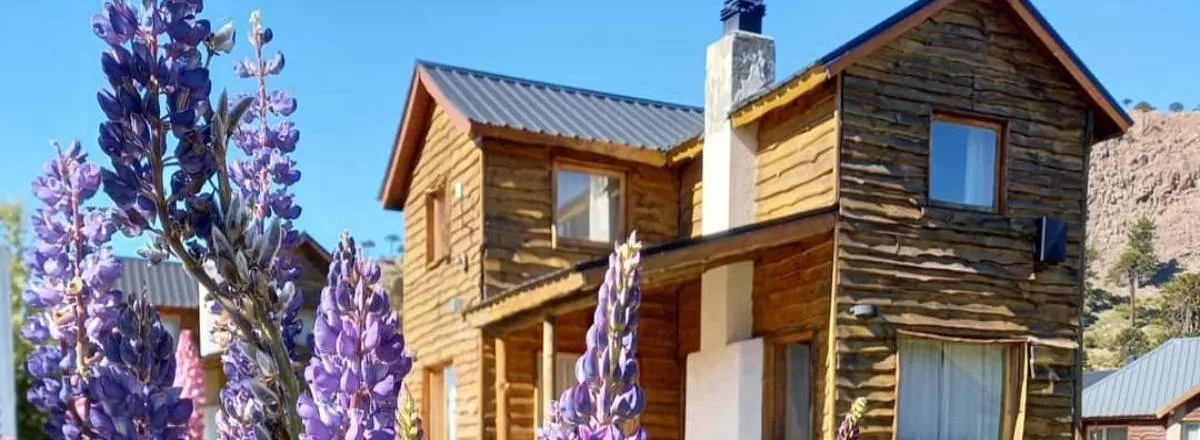 Cabañas Cabañas Piré Pillán