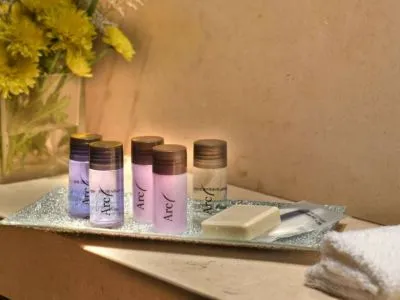 Boutique Hotels Arc Recoleta