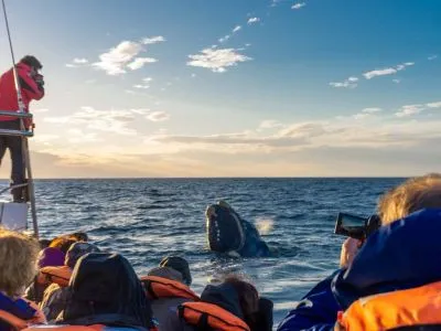 Travel and Tourist Agency Sussanich Turismo