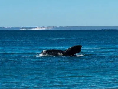 Travel and Tourist Agency Sussanich Turismo