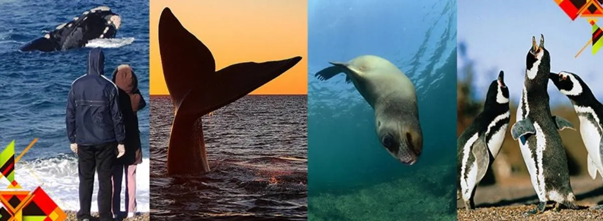 Travel and Tourist Agency Sussanich Turismo