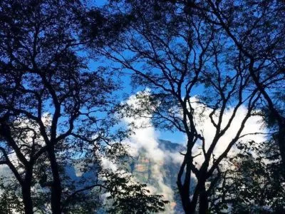 Poncho Tours & Transporte SRL Travel and Tourist Agency  in  Salta