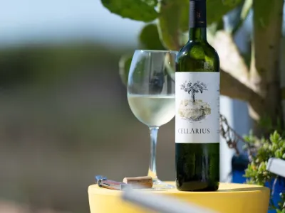 Bodegas Bodega Isasmendi