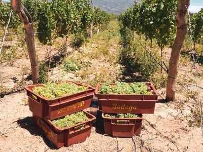 Bodegas Bodega Isasmendi