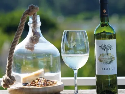 Bodegas Bodega Isasmendi