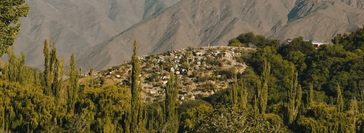 Bodegas Bodega Isasmendi