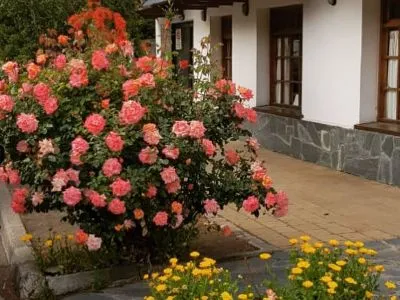 Hosterías Marina Sun