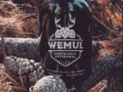 Wemul Beer Shops  in  San Martín de los Andes