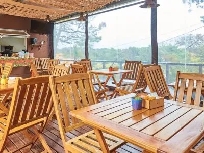 Apart Hotels Punto Playa