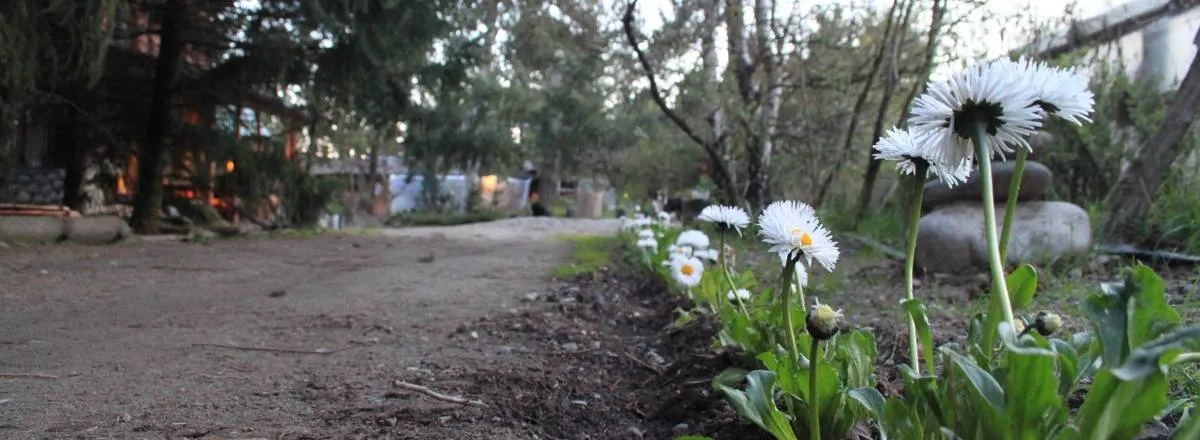 Albergues/Hostels La Casa del Viajero