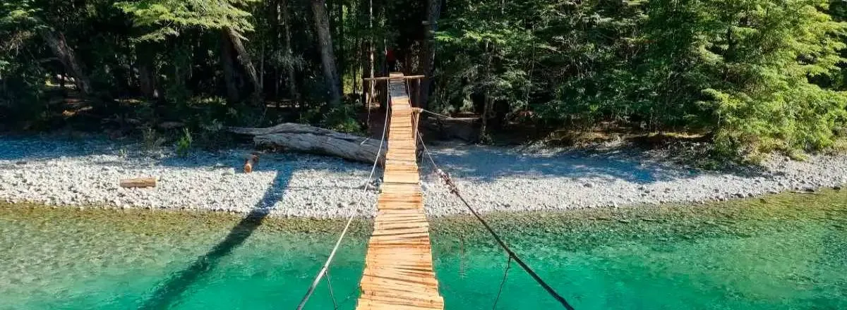 Departamentos El Nogal