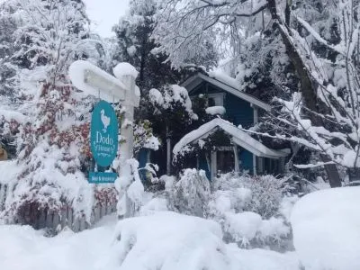 Dodo House Bed & Breakfast  en  Villa La Angostura