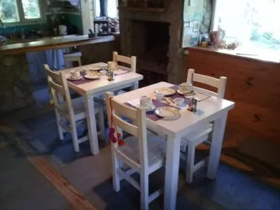 Bed & Breakfast Dodo House