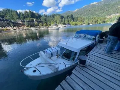 Cardinal Sur Agencias de viajes y turismo  en  Villa La Angostura