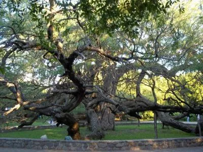 Turismo Matey Travel and Tourist Agency  in  Merlo San Luis