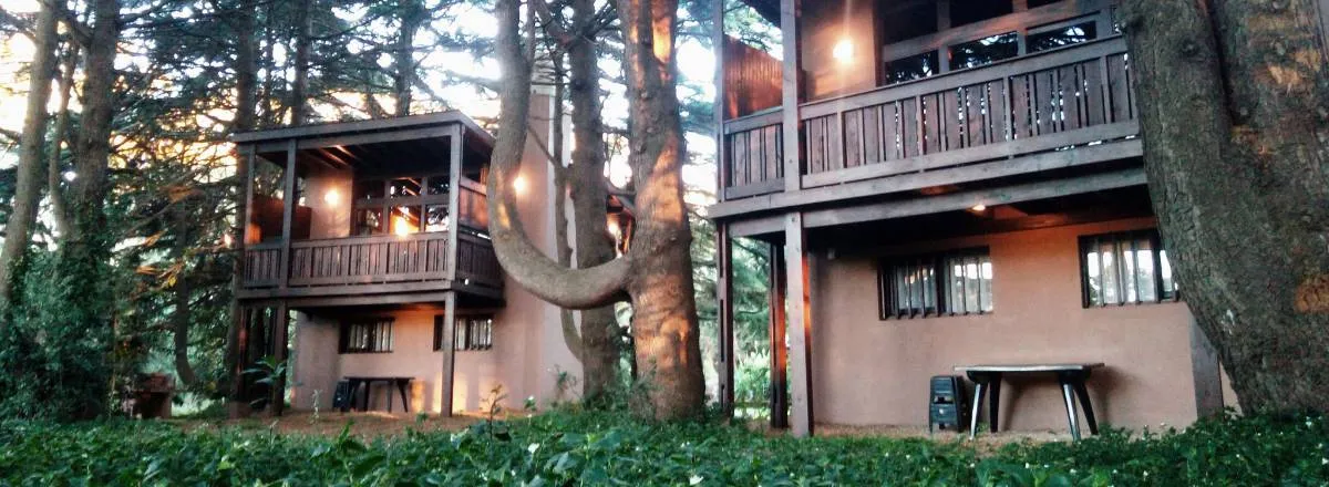 Cabañas Posta Chimango