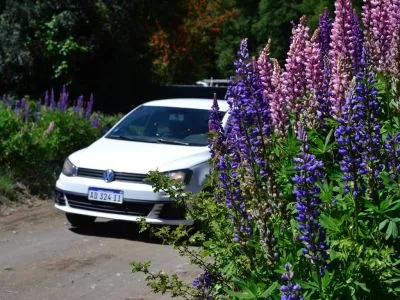 Car rental Huemul Rent a Car